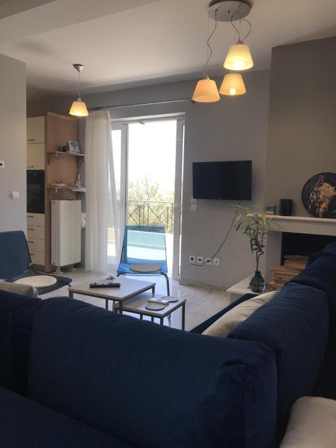 Beautiful Maisonette With A View To The Mountains And The Sea Agia Marina (Attica) Exterior foto