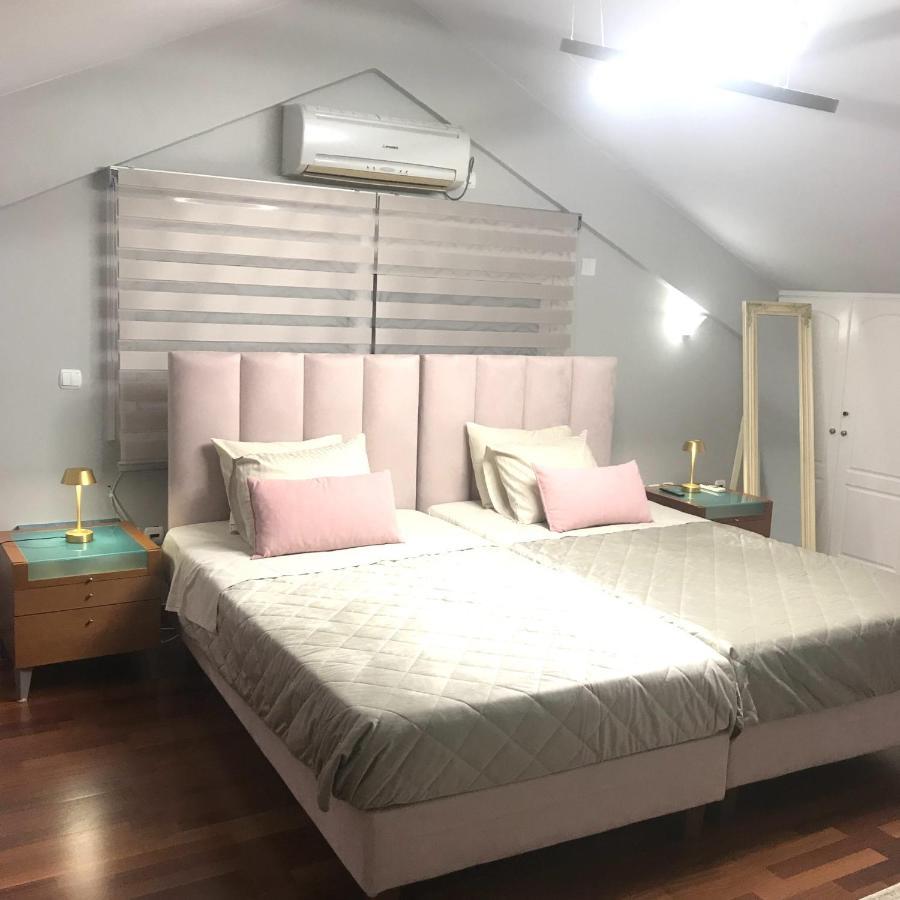 Beautiful Maisonette With A View To The Mountains And The Sea Agia Marina (Attica) Exterior foto